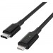 Belkin CAA006BT04BK Lightning/USB-C Data Transfer Cable